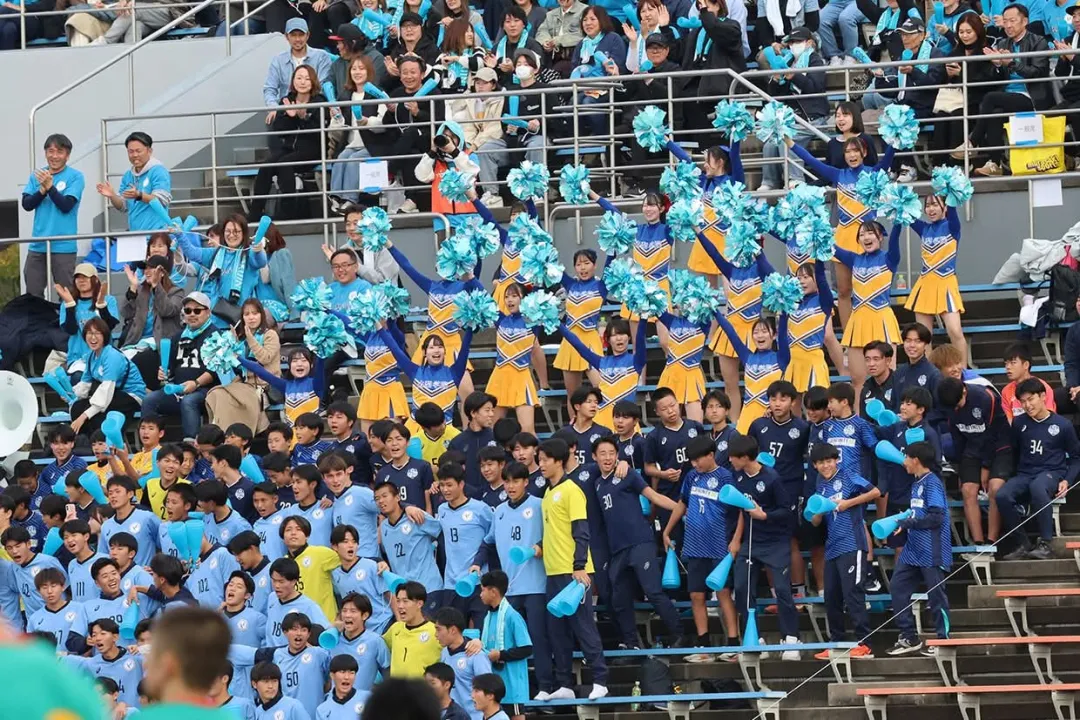 图片6.png 图片6.png